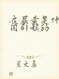 夜尿黄是什么原因引起的