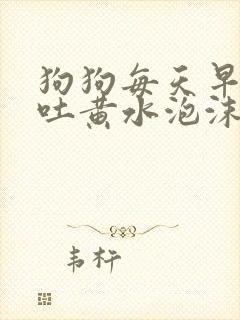 狗狗每天早上呕吐黄水泡沫