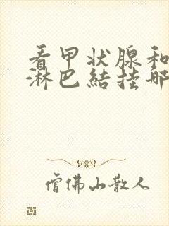 看甲状腺和颈部淋巴结挂哪科