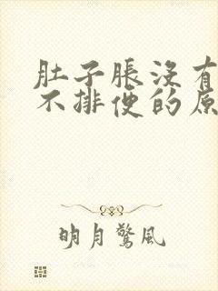 肚子胀没有便意不排便的原因