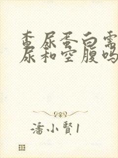 查尿蛋白需要晨尿和空腹吗