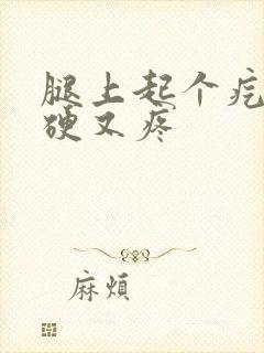 腿上起个疙瘩又硬又疼