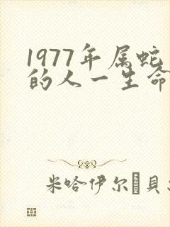 1977年属蛇的人一生命运如何