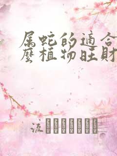 属蛇的适合养什么植物旺财