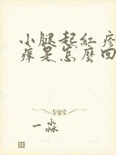 小腿起红疹子发痒是怎么回事