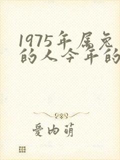1975年属兔的人今年的运气怎么样