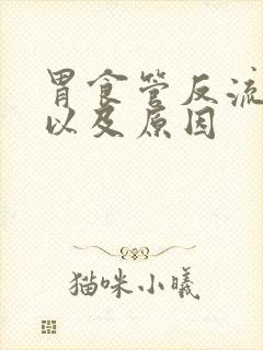 胃食管反流症状以及原因