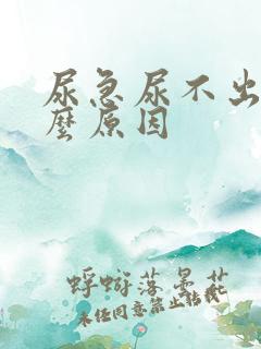 尿急尿不出是什么原因