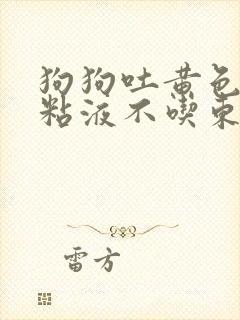 狗狗吐黄色泡沫粘液不吃东西