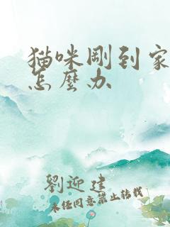 猫咪刚到家乱尿怎么办