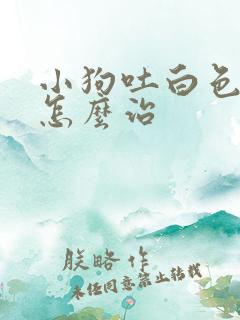 小狗吐白色粘液怎么治