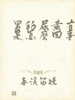 男的尿黄有泡沫是怎么回事