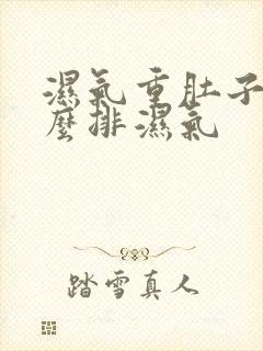 湿气重肚子大怎么排湿气