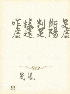 咋样判断是肾阴虚还是阳虚