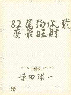 82属狗佩戴什么最旺财