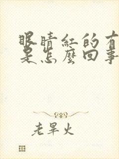 眼睛红的有血丝是怎么回事