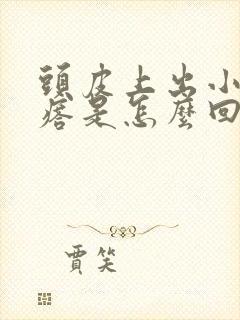 头皮上出小红疙瘩是怎么回事