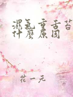 湿气重舌苔黄喝什么原因