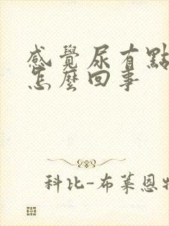 感觉尿有点刺痛怎么回事