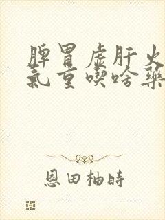 脾胃虚肝火旺湿气重吃啥药