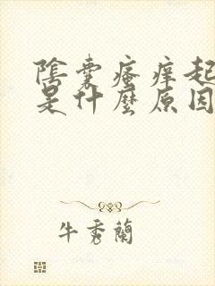 阴囊瘙痒起疙瘩是什么原因