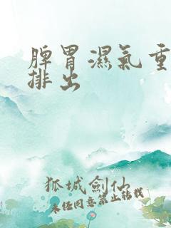 脾胃湿气重怎样排出