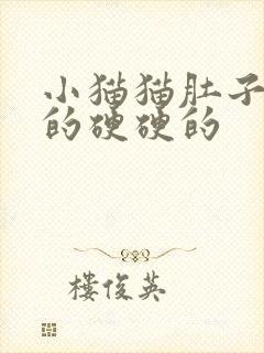 小猫猫肚子鼓鼓的硬硬的