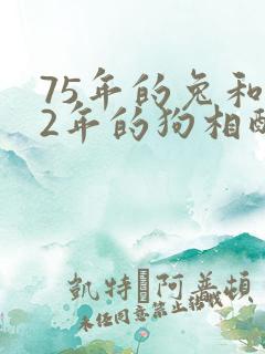 75年的兔和82年的狗相配吗