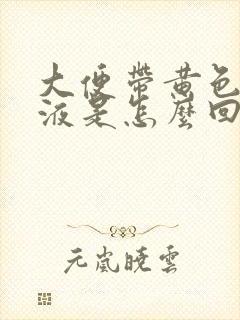 大便带黄色的粘液是怎么回事