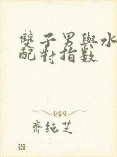 双子男与水瓶女配对指数