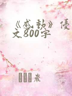 《感动》优秀作文800字