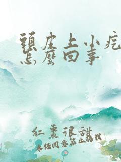 头皮上小疙瘩是怎么回事