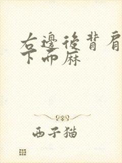 右边后背肩胛骨下面麻