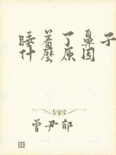 睡着了鼻子流血什么原因