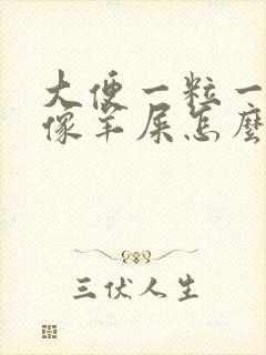 大便一粒一粒的像羊屎怎么办