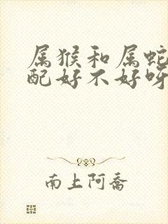 属猴和属蛇的婚配好不好呀