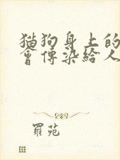 猫狗身上的跳蚤会传染给人吗