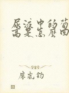 尿液中的葡萄糖高是怎么回事