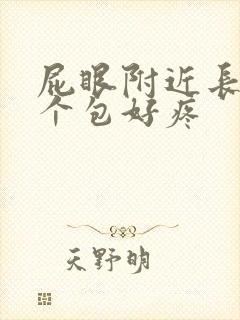 屁眼附近长了一个包好疼