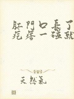 肛门口长了一个疙瘩一碰就疼