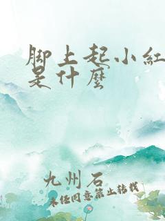 脚上起小红疙瘩是什么