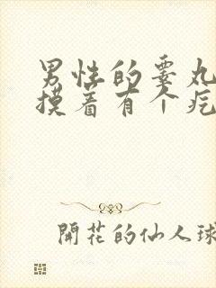 男性的睾丸里面摸着有个疙瘩是什么问题