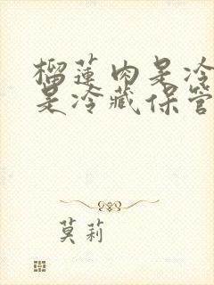 榴莲肉是冷冻还是冷藏保管呢