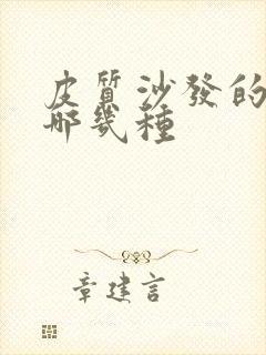 皮质沙发的皮有哪几种