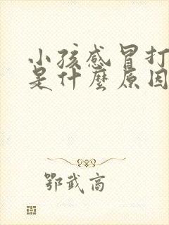 小孩感冒打呼噜是什么原因引起的