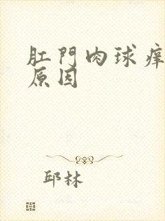 肛门肉球痒什么原因