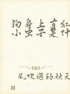 狗身上有红色的小虫子是什么