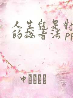 人生观是对人生的总看法 ppt