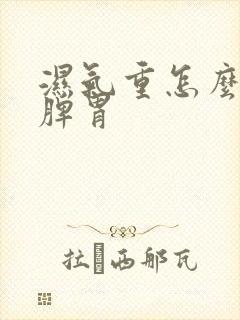 湿气重怎么调养脾胃