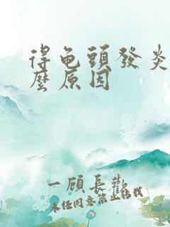 得龟头发炎是什么原因